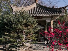 -南京古林公园