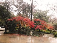 景观位-山外山菜馆(玉泉路店)