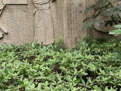 -杭州半山国家森林公园