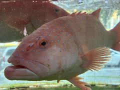 -青竹园海鲜餐厅(海天路店)