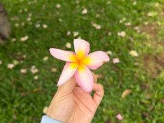 -荔湾湖公园