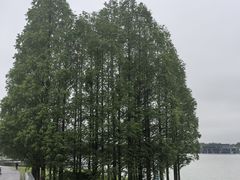 -上海月湖雕塑公园