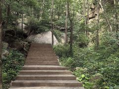 -大岭沟猕猴桃谷风景区