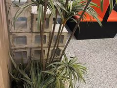 -熊大·鲜烤黄牛肉(五山店)