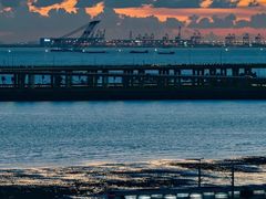 -宝安西湾红树林湿地公园