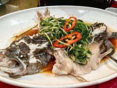 -东江渔村·古典园林·30年粤菜老字号(太和店)