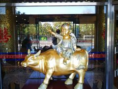 -晋阳饭庄(虎坊桥店)