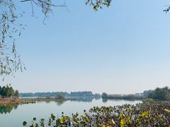 -贡湖湾湿地公园