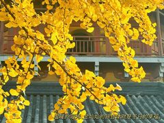 -北寺塔