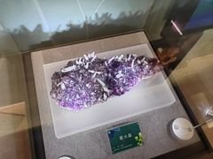 -贵州省地质博物馆