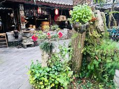 -青城甲(青城山店)