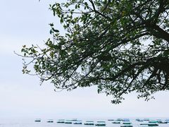 -抚仙湖禄充风景区