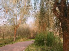 -白鹭湾湿地公园