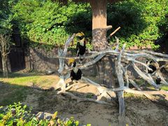 -上海野生动物园