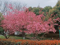 -南京市江宁方山