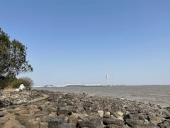 -上海吴淞炮台湾国家湿地公园