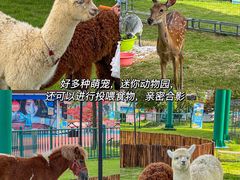 -云梦方舟欢乐水世界