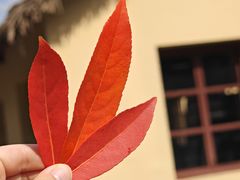 -云南师范大学(一二一西南联大校区)