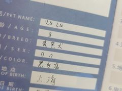 -申普宠物医院·心脏介入·心血管微创(总院)