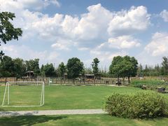 -田园东方蜜桃村的田野营地