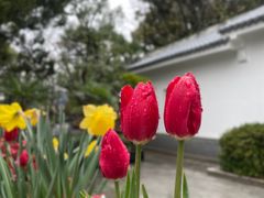 -苏州公园(双塔街道)