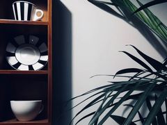 -树咖啡tree coffee