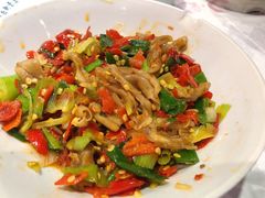 -壹盏灯(惠农店)