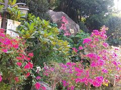 -乌山风景区