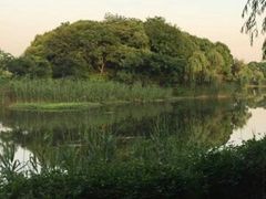 -上海市保健医疗中心(华东疗养院)