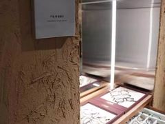 -大视光学•LINDBERG林德伯格•全球手工眼镜集合店(王府井店)