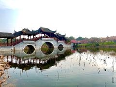 -上海海湾国家森林公园