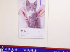 -艾贝尔宠物医院·狂犬免疫点(江山金象城店)