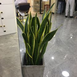 -AYO SALON