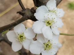 -天津东丽湖风景区