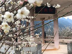 -广州市流溪河国家森林公园