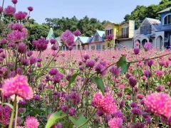 -松山湖梦幻百花洲
