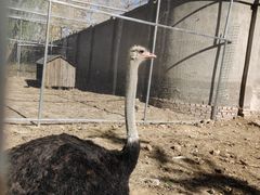 -意大利农场度假村