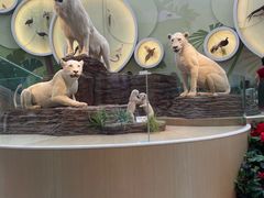 -陕西自然博物馆