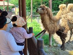 -宁波野生动物园