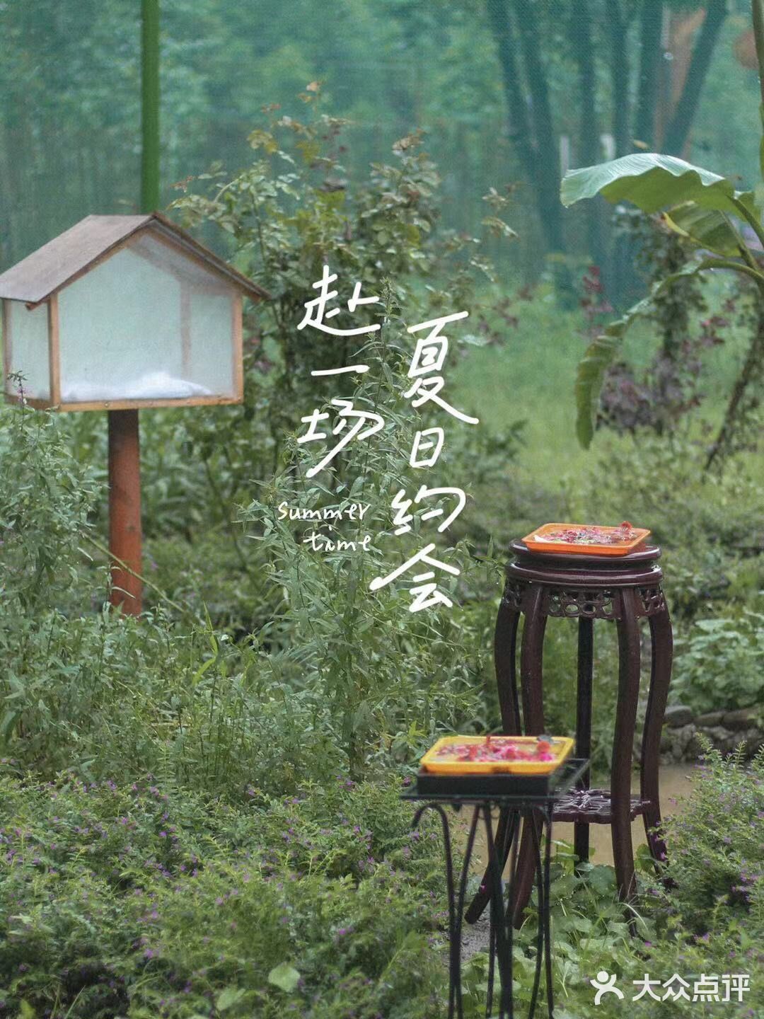 千岛湖小众旅游地推荐|夏天去看萤火虫呀