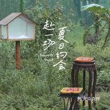 千岛湖小众旅游地推荐|夏天去看萤火虫呀