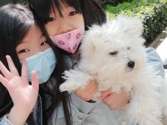 -西安京西宠物医院·瘫痪·疑难杂症