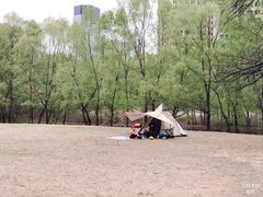 -长白岛森林公园