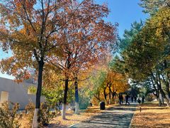 -长春世界雕塑园冰雪艺术天地