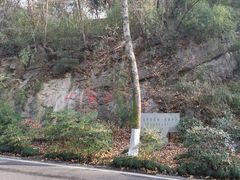 -中国茶叶博物馆(双峰馆区)