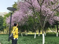 -重庆彩云湖湿地公园