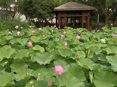 -苏州香山国际大酒店