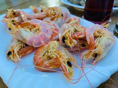-海尚韵舍海景餐厅(朱家尖店)