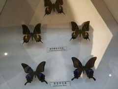 -青藏高原自然博物馆