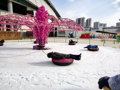 -沈阳奥体冰雪嘉年华